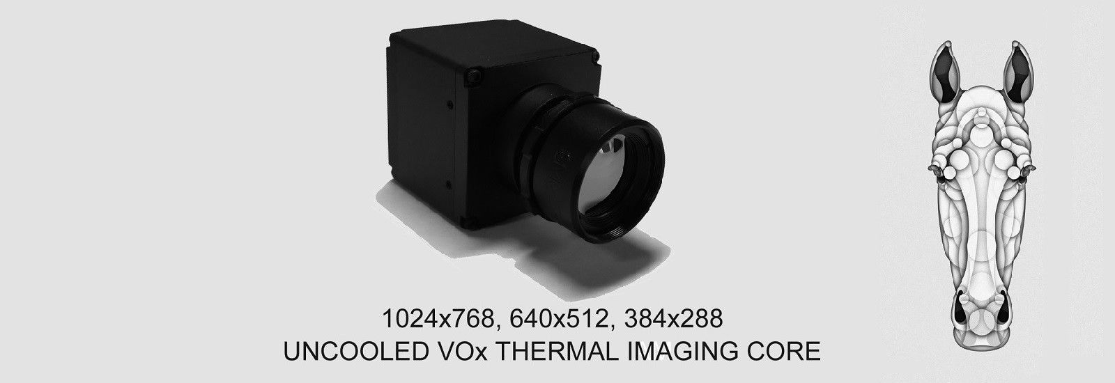 качество термальный модуль камеры завод
